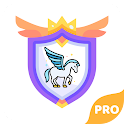 Pegasus VPN PRO