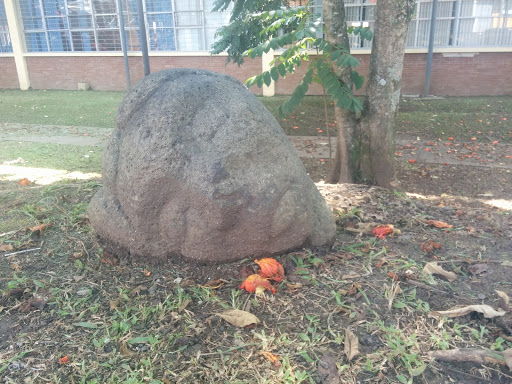 Cabeza De Mujer