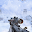 Counter Terrorist Attack : Survival Mission Download on Windows