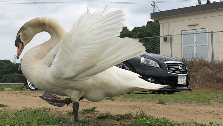 の投稿画像8枚目