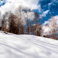 Fresca e soffice di simonevivaldo