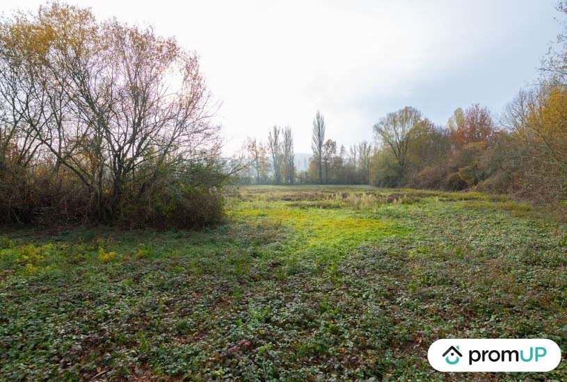  Vente Terrain agricole - 74 048m² à Molières (82220) 