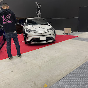 C-HR ZYX10