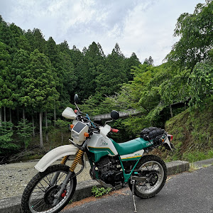 キューブ YZ11