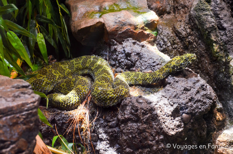 San Diego Zoo - Reptile House