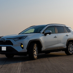 RAV4 AXAH54