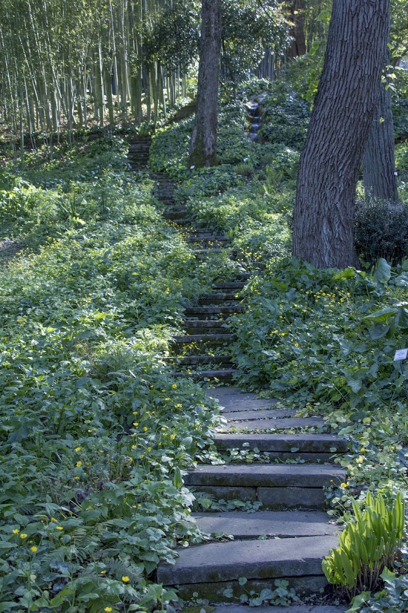 Stairway to Heaven di Michele Tambornino