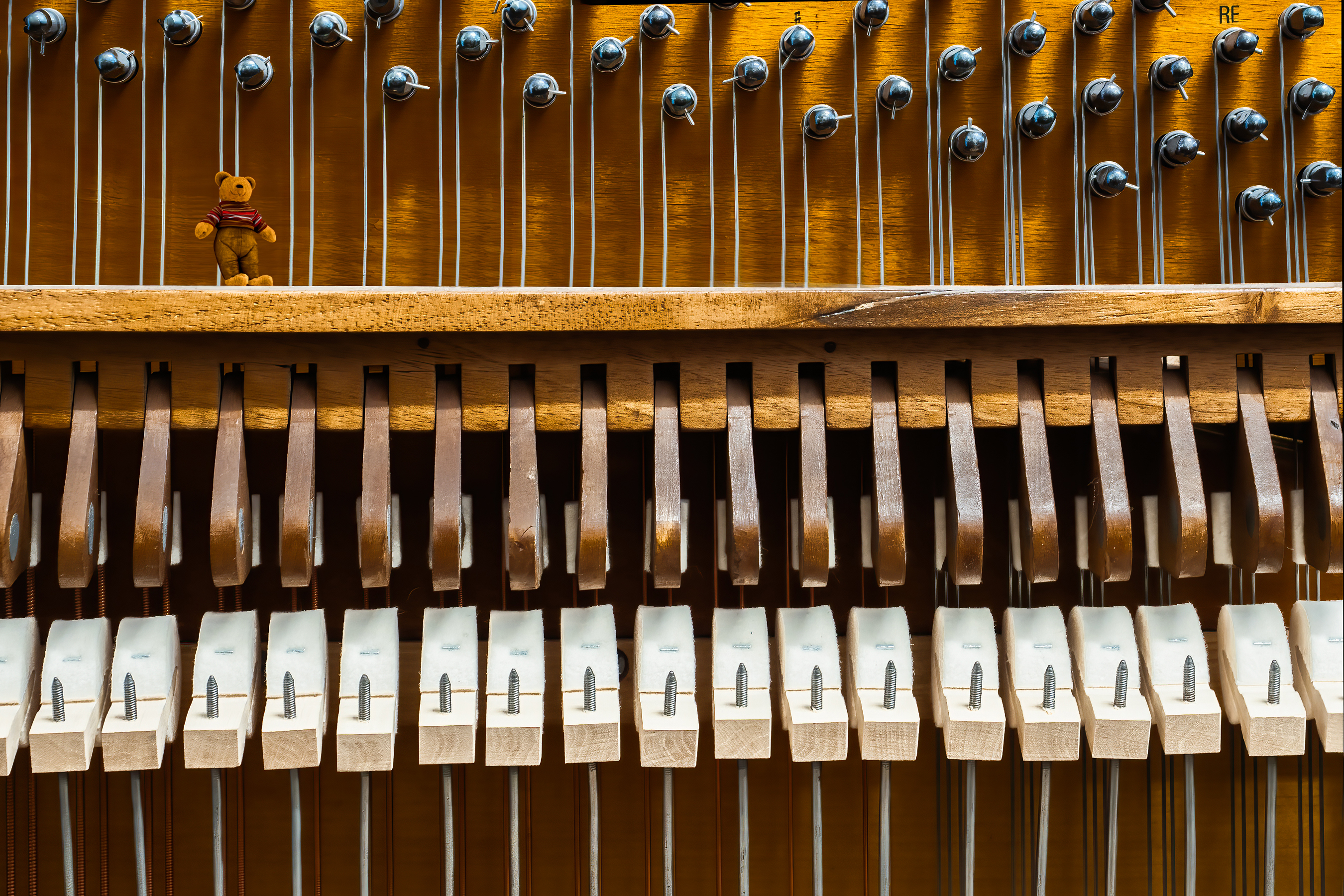 Interno musicale di felixpedro