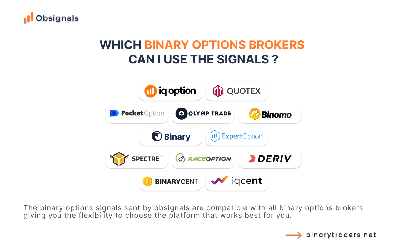 Obsignals Preview image 10