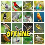 Cover Image of ดาวน์โหลด Kicauan Burung Lengkap Offline 1.0 APK