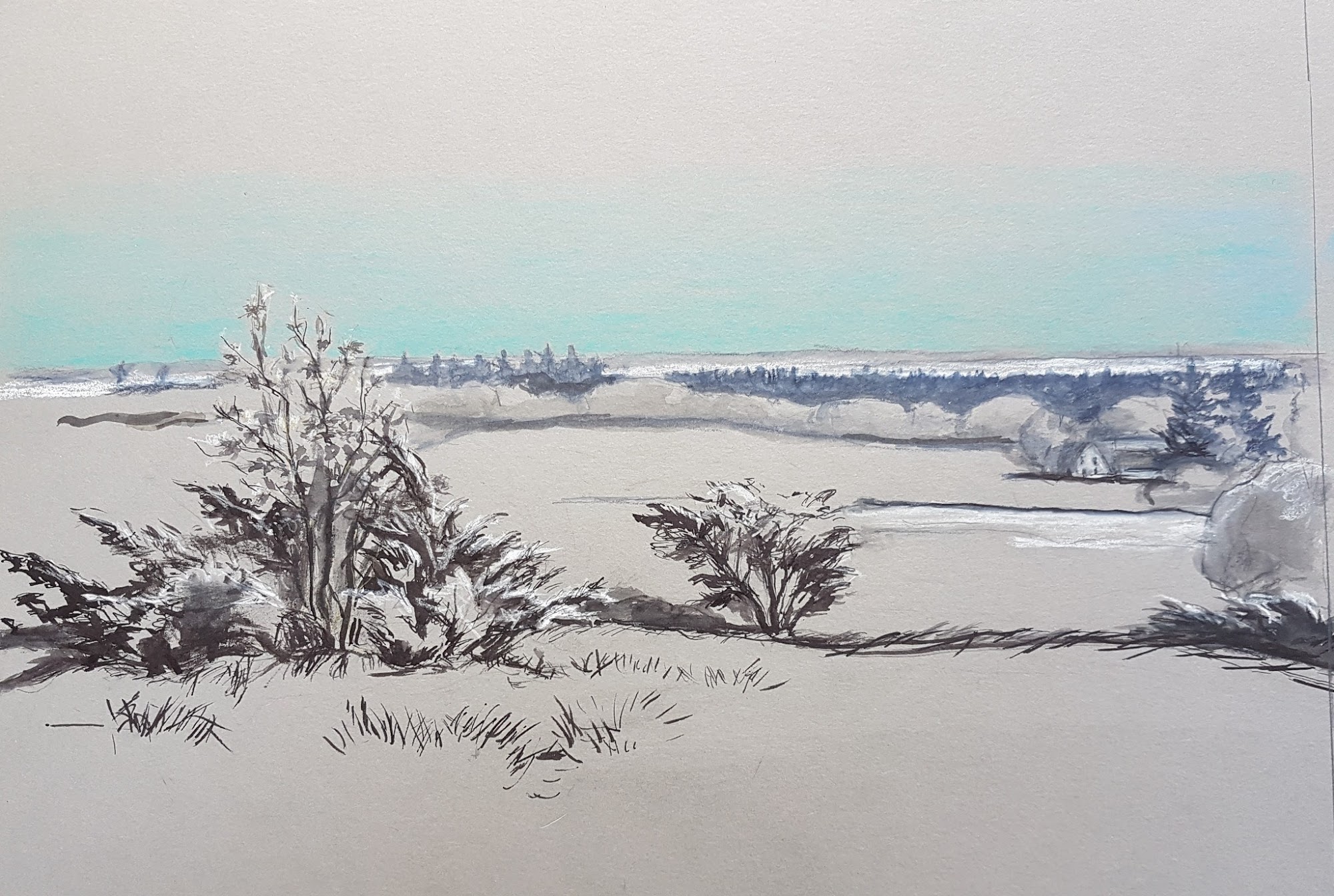 Holmsø Hede
Tusch og farvekridt på syrefrit karton. ca. A3. 1400 kr. u/ramme