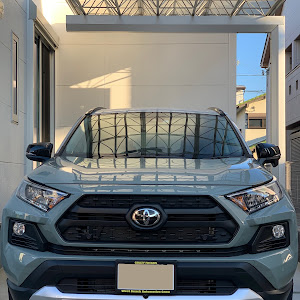 RAV4 MXAA54