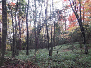 一気に下山