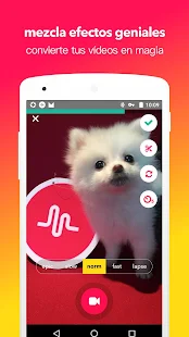  musical.ly: miniatura de captura de pantalla  