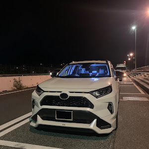 RAV4 AXAH54