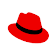 Red Hat MyEBC icon