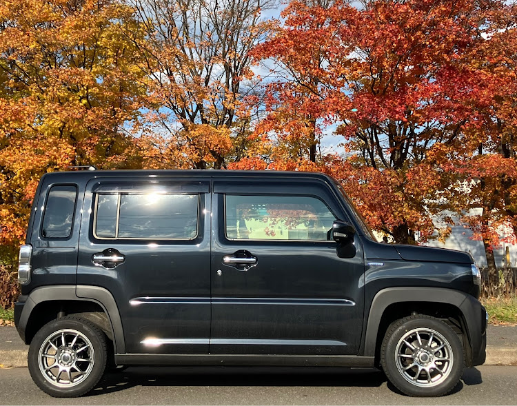 ハスラーの北海道・紅葉・新しい仲間ご紹介🚖・バックカメラに関するカスタム事例の投稿画像3枚目