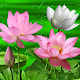 Download Lotus Flower theme For PC Windows and Mac 1.0