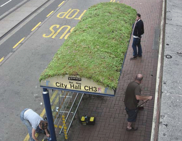 Los techos verdes de las paradas de autobuses fue una iniciativa llevada a cabo por Groundwork Sheffield y el Green Roof Forum de Sheffield. 