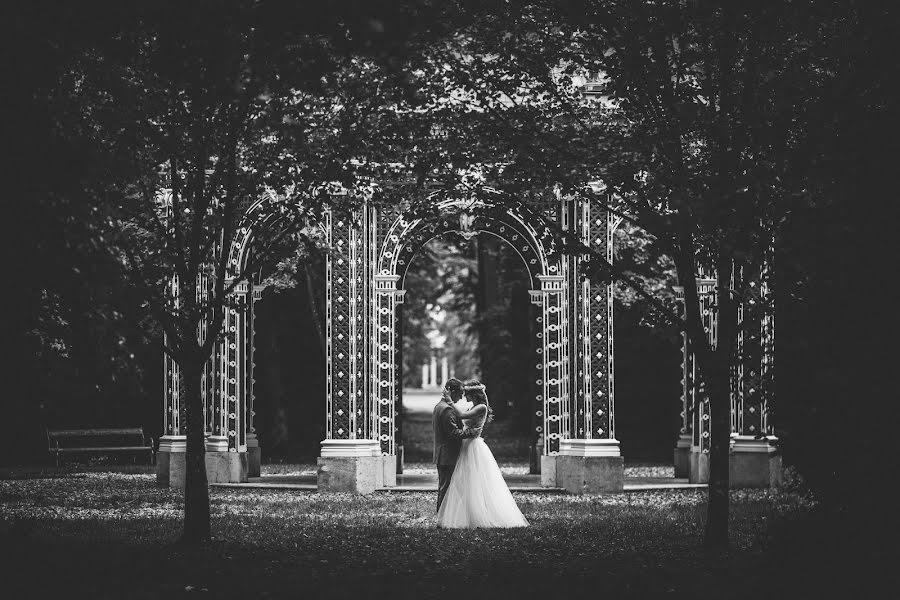 Fotógrafo de casamento Gergely Csigo (csiger). Foto de 22 de janeiro 2018