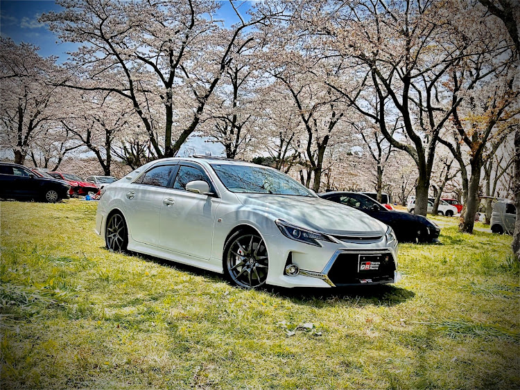 マークXの大石寺の花見シーズン・桜並木🌸と積雪の富士山をバックに愛車を撮影・🌸桜とコラボに関するカスタム事例の投稿画像7枚目