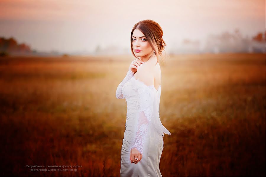 Wedding photographer Oksana Cekhmister (xsanna). Photo of 5 January 2014