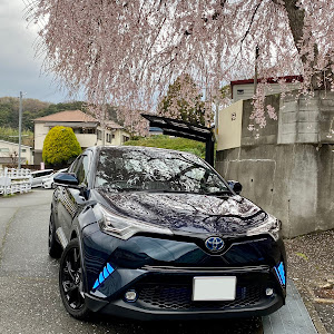 C-HR ZYX10