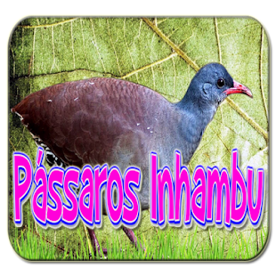 Cantos de Pássaros Inhambu - náhled