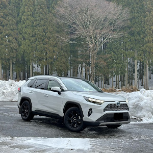 RAV4 AXAH54