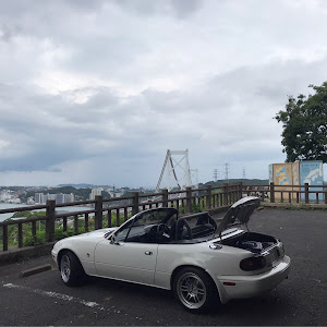 ロードスター NA8C