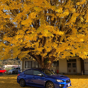 WRX STI VAB