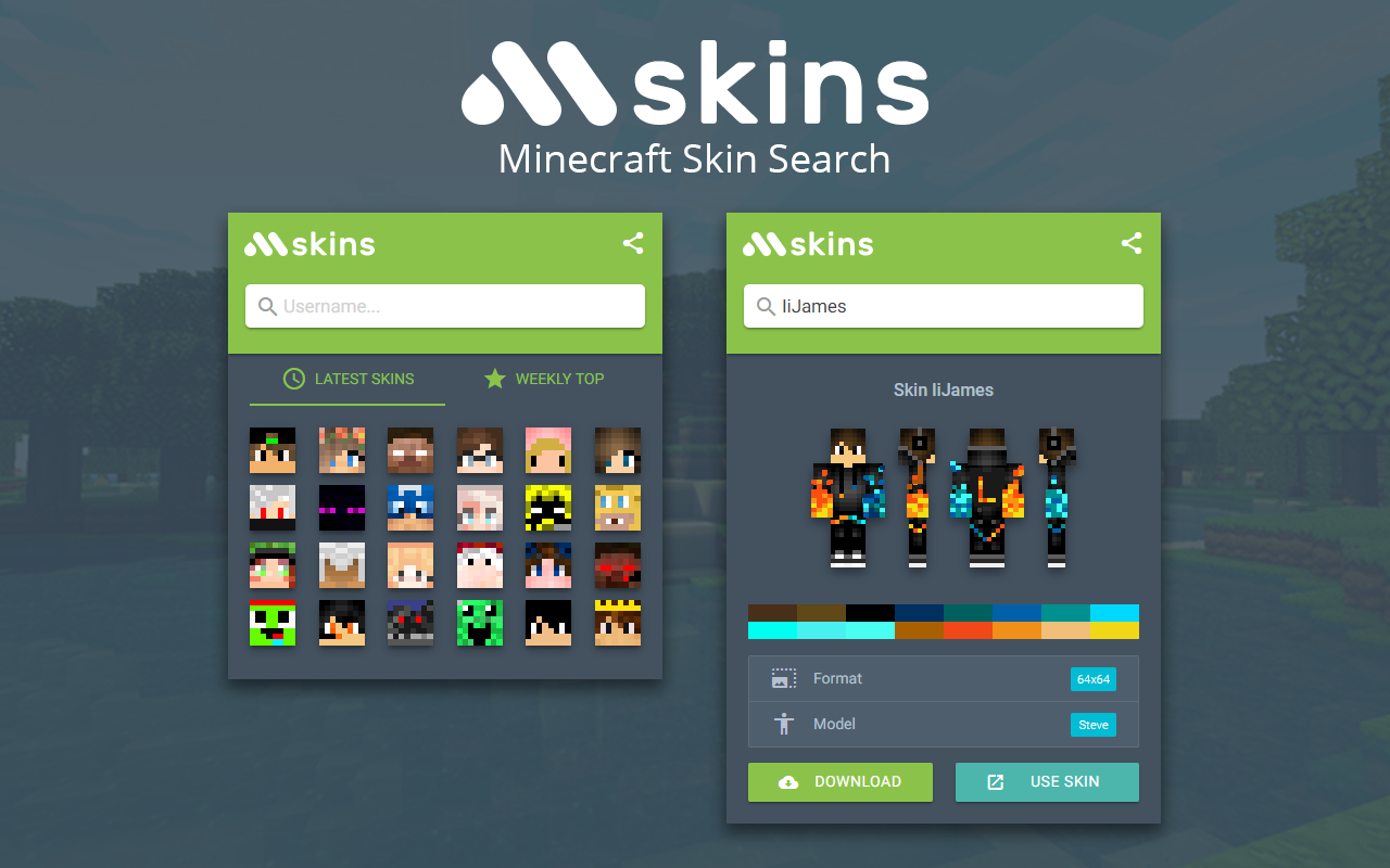 Minecraft Skins Search Preview image 2