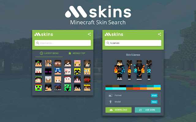 el google  Minecraft Skins