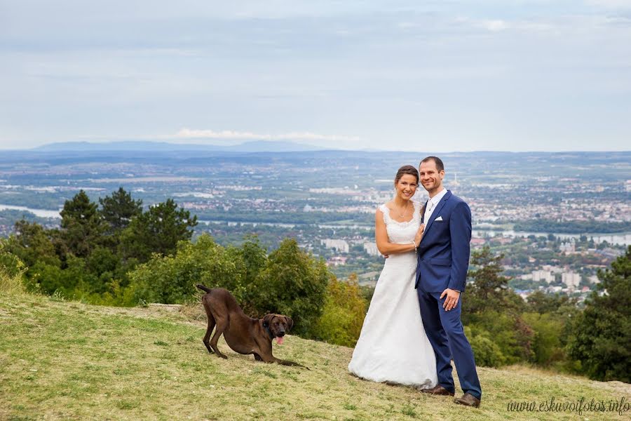 Kāzu fotogrāfs András Fekete (andrasfekete). Fotogrāfija: 3. marts 2019