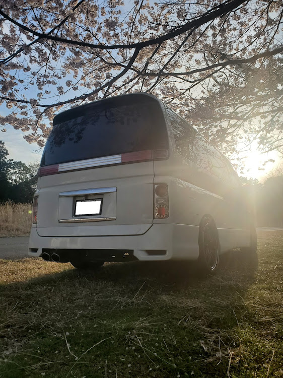 エルグランドの4月もよろしくお願い致します🌸・サクラと愛車に関するカスタム事例の投稿画像3枚目