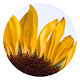 Sunflower New Tab & Wallpapers Collection