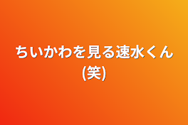 ちいかわを見る速水くん(笑)