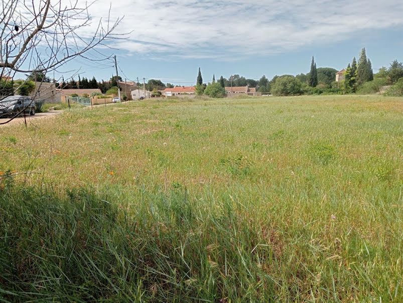 Vente terrain  523 m² à Paraza (11200), 75 000 €