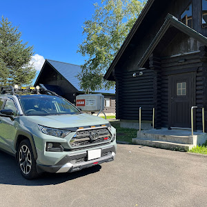 RAV4 MXAA54