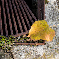 presagio d'autunno di 