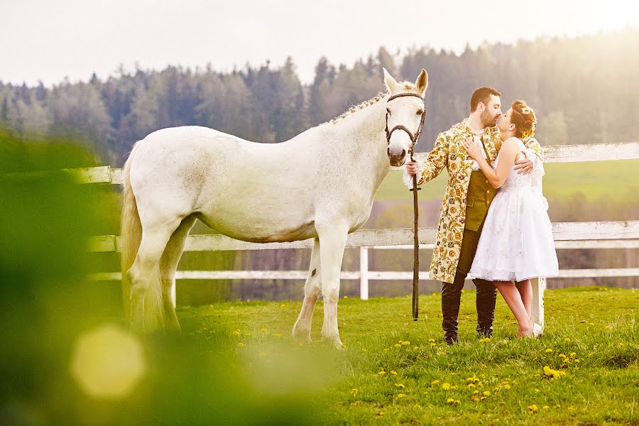 Wedding photographer Zdeněk Hás (zdenekhas). Photo of 6 February 2019