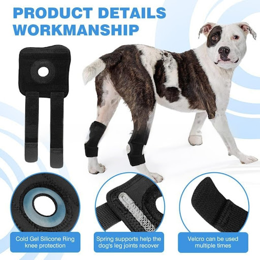 Title 2, Pet dog leg guard knee pad for ACL ligament tea...