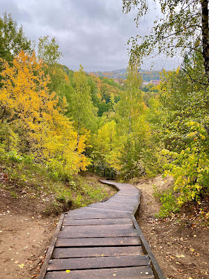 Walk on the wood  di gaiaferra