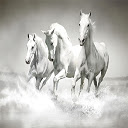 Horses Puzzle Chrome extension download