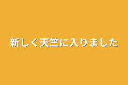 新しく天竺に入りました