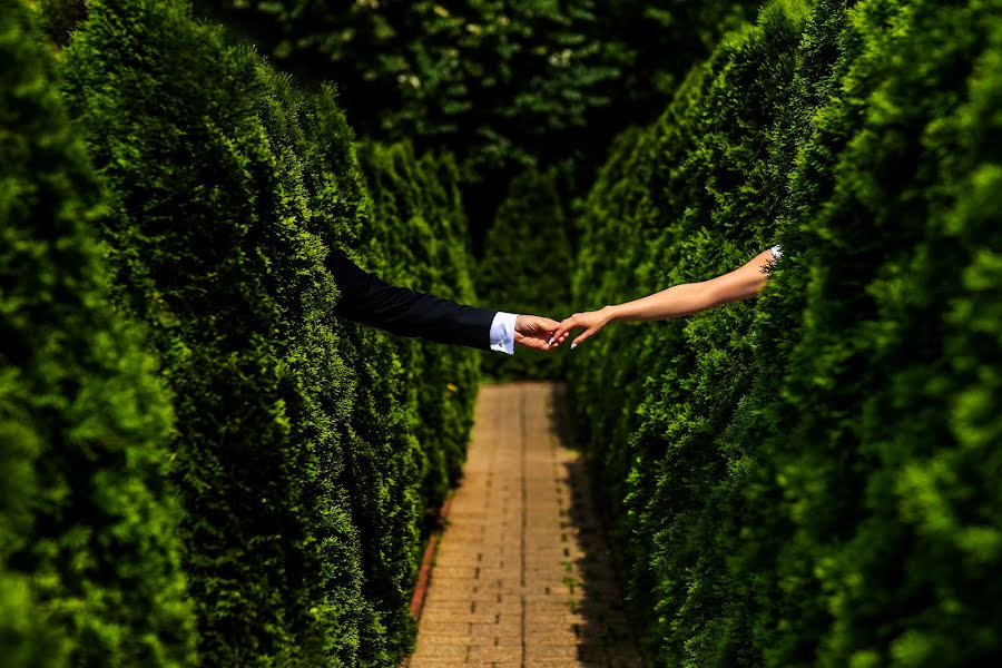 Photographe de mariage Daniel Dumbrava (dumbrava). Photo du 5 octobre 2018