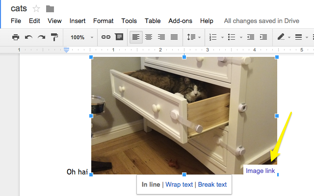 Google Docs Show Image Source Preview image 0