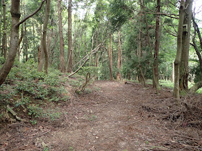 尾根末端のようす