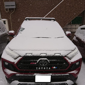 RAV4 MXAA54