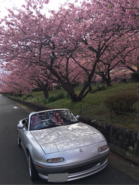 ロードスターの左斜め前写真展・伊豆ドライブ・コラボツーリング・医療従事者に感謝・コロナに負けるなに関するカスタム事例の投稿画像7枚目